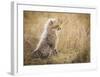 Watching You Mom-Faisal Alnomas-Framed Giclee Print