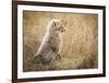 Watching You Mom-Faisal Alnomas-Framed Giclee Print