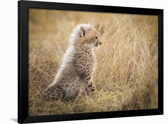 Watching You Mom-Faisal Alnomas-Framed Giclee Print