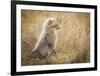 Watching You Mom-Faisal Alnomas-Framed Giclee Print