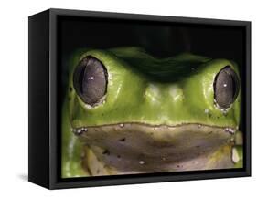 Watching You-Art Wolfe-Framed Stretched Canvas