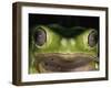 Watching You-Art Wolfe-Framed Premium Photographic Print