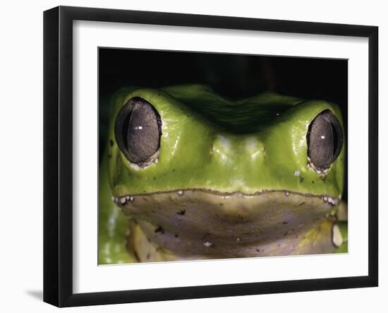 Watching You-Art Wolfe-Framed Premium Photographic Print