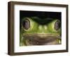 Watching You-Art Wolfe-Framed Photographic Print