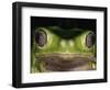 Watching You-Art Wolfe-Framed Photographic Print