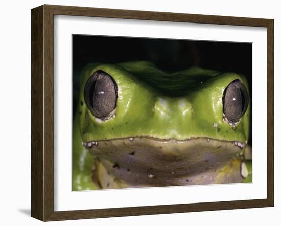 Watching You-Art Wolfe-Framed Photographic Print