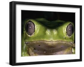 Watching You-Art Wolfe-Framed Photographic Print