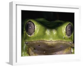 Watching You-Art Wolfe-Framed Photographic Print