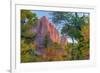 Watchman and Fall Frame-Vincent James-Framed Photographic Print