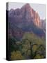 Watchman, Zion National Park, Utah, United States of America, North America-Jean Brooks-Stretched Canvas