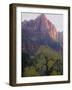 Watchman, Zion National Park, Utah, United States of America, North America-Jean Brooks-Framed Photographic Print