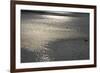 Water 8403-Rica Belna-Framed Giclee Print