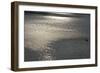 Water 8403-Rica Belna-Framed Giclee Print