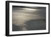 Water 8403-Rica Belna-Framed Giclee Print