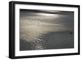 Water 8403-Rica Belna-Framed Giclee Print