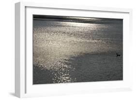 Water 8403-Rica Belna-Framed Giclee Print