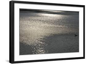 Water 8403-Rica Belna-Framed Giclee Print