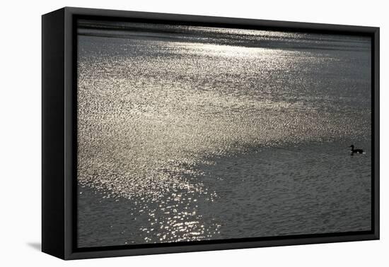 Water 8403-Rica Belna-Framed Stretched Canvas