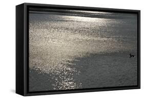 Water 8403-Rica Belna-Framed Stretched Canvas