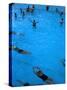 Water Aerobics in Pool at Kowloon Park, Hong Kong-Oliver Strewe-Stretched Canvas