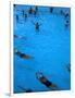 Water Aerobics in Pool at Kowloon Park, Hong Kong-Oliver Strewe-Framed Photographic Print