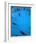 Water Aerobics in Pool at Kowloon Park, Hong Kong-Oliver Strewe-Framed Photographic Print