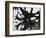 Water and Tree Reflection, 1968-Brett Weston-Framed Photographic Print