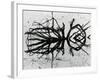 Water and Tree, Reflection, 1977-Brett Weston-Framed Photographic Print