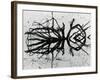 Water and Tree, Reflection, 1977-Brett Weston-Framed Photographic Print