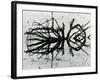 Water and Tree, Reflection, 1977-Brett Weston-Framed Photographic Print