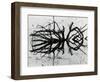 Water and Tree, Reflection, 1977-Brett Weston-Framed Photographic Print