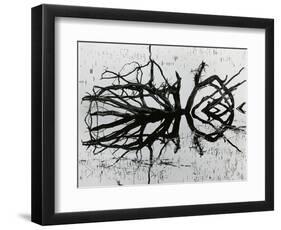 Water and Tree, Reflection, 1977-Brett Weston-Framed Photographic Print