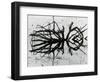 Water and Tree, Reflection, 1977-Brett Weston-Framed Photographic Print