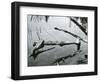 Water and Wood, Oregon, c. 1970-Brett Weston-Framed Photographic Print