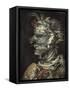 Water (Aqua)-Giuseppe Arcimboldo-Framed Stretched Canvas