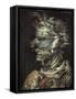 Water (Aqua)-Giuseppe Arcimboldo-Framed Stretched Canvas