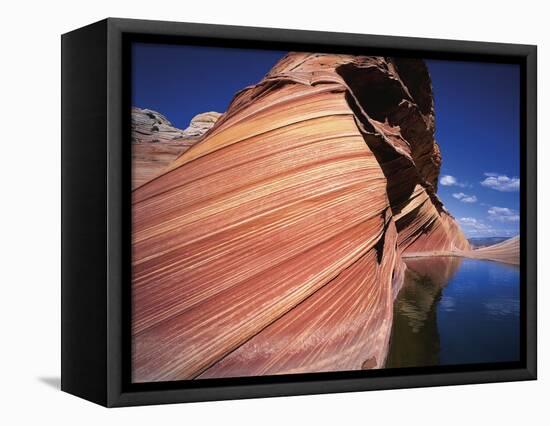 Water at Coyote Buttes-Jim Zuckerman-Framed Stretched Canvas