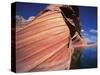 Water at Coyote Buttes-Jim Zuckerman-Stretched Canvas