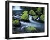 Water Below Wahclella Falls, Columbia River Gorge National Scenic Area, Oregon, USA-Adam Jones-Framed Premium Photographic Print