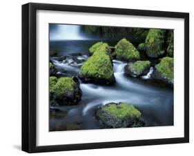 Water Below Wahclella Falls, Columbia River Gorge National Scenic Area, Oregon, USA-Adam Jones-Framed Premium Photographic Print