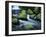 Water Below Wahclella Falls, Columbia River Gorge National Scenic Area, Oregon, USA-Adam Jones-Framed Premium Photographic Print