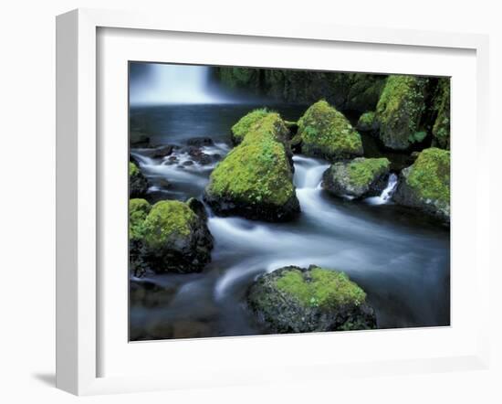 Water Below Wahclella Falls, Columbia River Gorge National Scenic Area, Oregon, USA-Adam Jones-Framed Premium Photographic Print