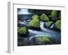 Water Below Wahclella Falls, Columbia River Gorge National Scenic Area, Oregon, USA-Adam Jones-Framed Premium Photographic Print