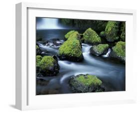 Water Below Wahclella Falls, Columbia River Gorge National Scenic Area, Oregon, USA-Adam Jones-Framed Premium Photographic Print