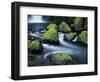 Water Below Wahclella Falls, Columbia River Gorge National Scenic Area, Oregon, USA-Adam Jones-Framed Photographic Print