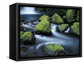 Water Below Wahclella Falls, Columbia River Gorge National Scenic Area, Oregon, USA-Adam Jones-Framed Stretched Canvas