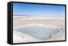 Water Beneath the Thin Crust of Salt, Salar De Uyuni, Bolivia, South America-Kim Walker-Framed Stretched Canvas