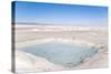 Water Beneath the Thin Crust of Salt, Salar De Uyuni, Bolivia, South America-Kim Walker-Stretched Canvas