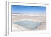 Water Beneath the Thin Crust of Salt, Salar De Uyuni, Bolivia, South America-Kim Walker-Framed Photographic Print