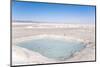 Water Beneath the Thin Crust of Salt, Salar De Uyuni, Bolivia, South America-Kim Walker-Mounted Photographic Print